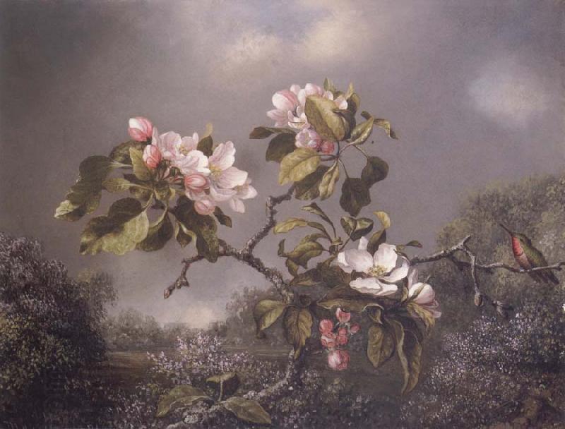 Martin Johnson Heade Apple Blosoms and Hummingbird China oil painting art